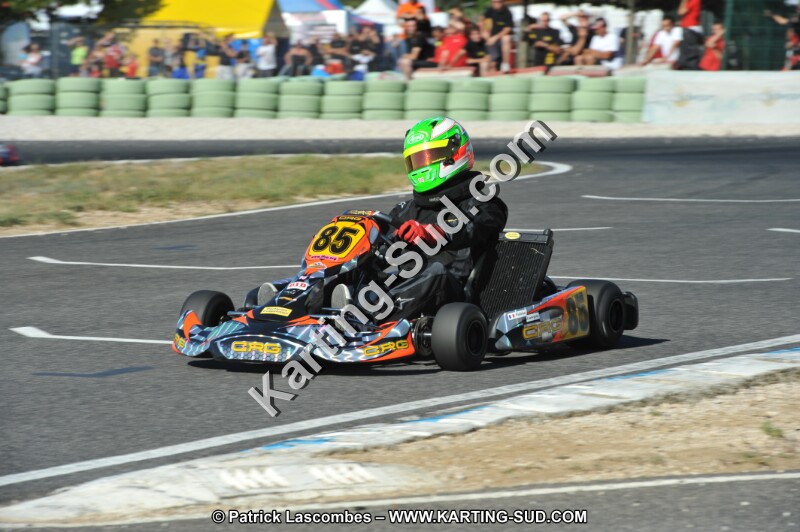 DSC (2513).JPG